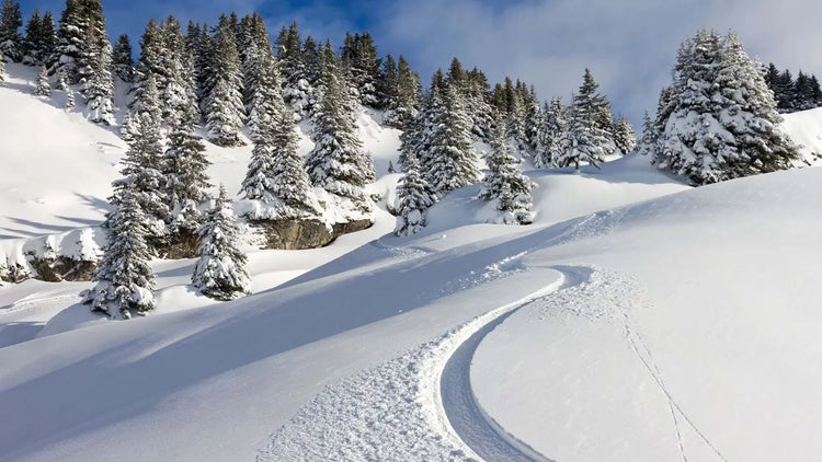 Livall-Ski-Helmet-The-Ultimate-Blend-of-Safety-and-Connectivity AdvenCrew
