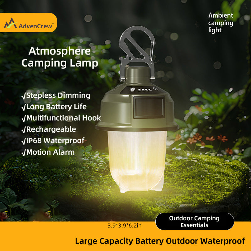 Load image into Gallery viewer, Outdoor Light with Alarm