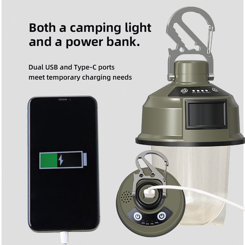 Load image into Gallery viewer, Outdoor Light with Alarm