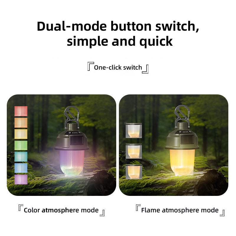 Load image into Gallery viewer, Outdoor Light with Alarm