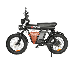 Long Range Off Road Snow E-Bike for Outdoor