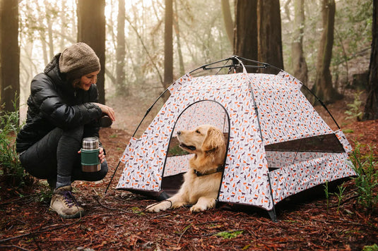 Ultimate-Guide-to-Tent-Camping-with-Dogs-Tips-for-Pet-Friendly-Outdoor-Adventures AdvenCrew