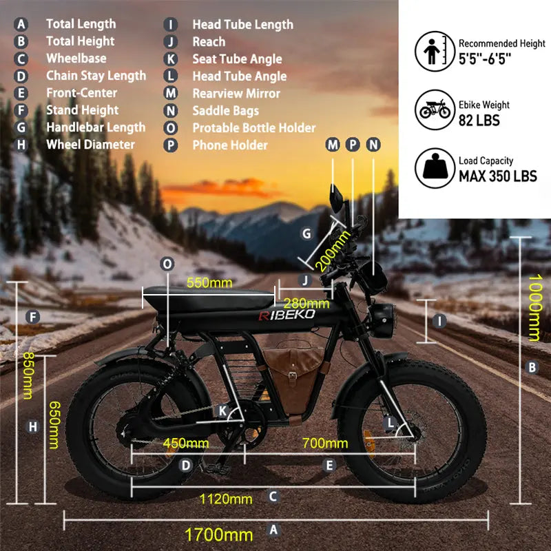 Load image into Gallery viewer, Long Range Off Road Snow E-Bike for Outdoor
