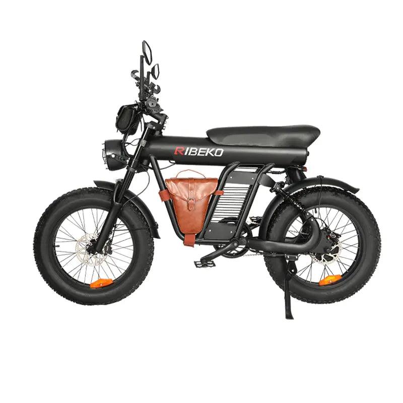 Load image into Gallery viewer, Long Range Off Road Snow E-Bike for Outdoor
